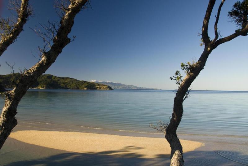 Earthsong Lodge Tryphena Dış mekan fotoğraf